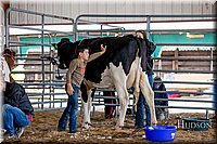 LCFAIR17-1115.jpg