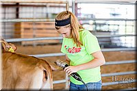 LCFAIR17-1181.jpg