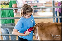 LCFAIR17-1203.jpg