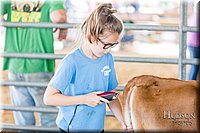 LCFAIR17-1205.jpg