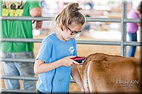 LCFAIR17-1206.jpg