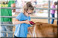 LCFAIR17-1207.jpg