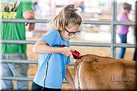 LCFAIR17-1208.jpg