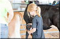 LCFAIR17-1212.jpg