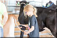 LCFAIR17-1213.jpg