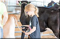 LCFAIR17-1214.jpg