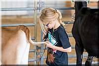 LCFAIR17-1216.jpg