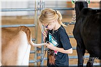 LCFAIR17-1217.jpg