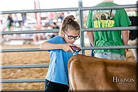 LCFAIR17-1233.jpg