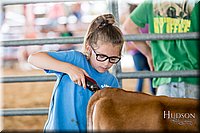 LCFAIR17-1234.jpg