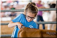 LCFAIR17-1237.jpg