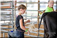 LCFAIR17-1262.jpg