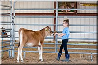 LCFAIR17-1280.jpg