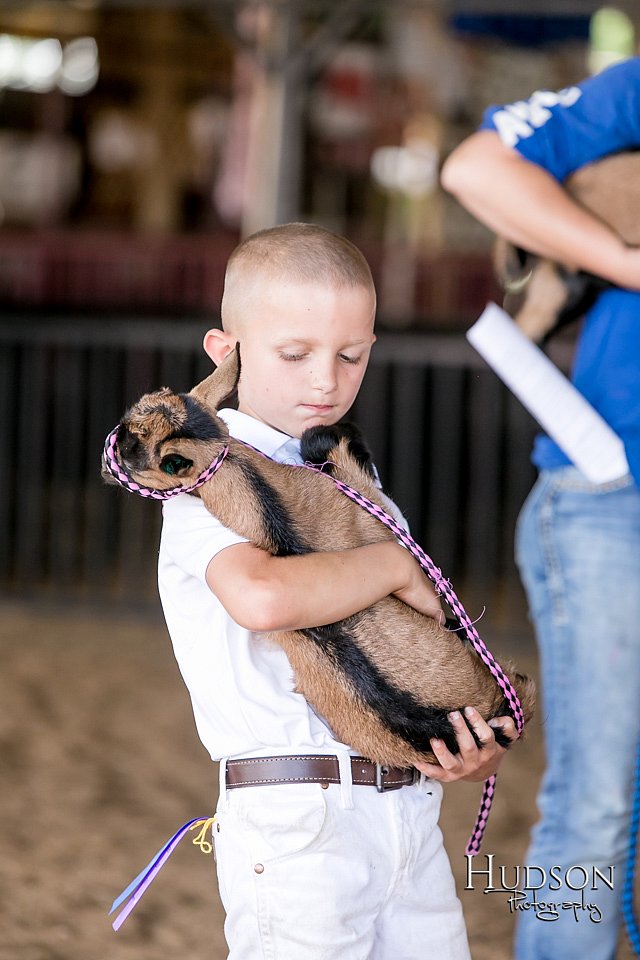 LCFAIR17-1647.jpg