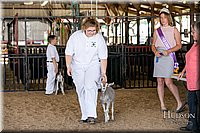 LCFAIR17-1619.jpg