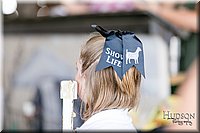 LCFAIR17-1625.jpg