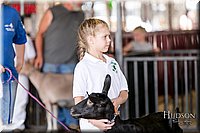 LCFAIR17-1627.jpg