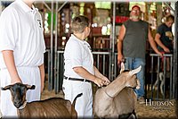 LCFAIR17-1632.jpg