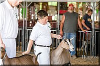 LCFAIR17-1633.jpg