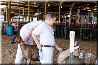 LCFAIR17-1638.jpg