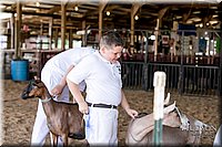 LCFAIR17-1639.jpg