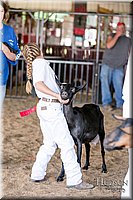 LCFAIR17-1643.jpg