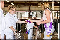 LCFAIR17-1650.jpg