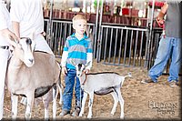 LCFAIR17-1655.jpg