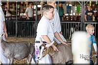 LCFAIR17-1658.jpg