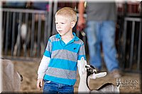 LCFAIR17-1662.jpg