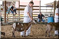 LCFAIR17-1667.jpg