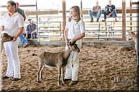 LCFAIR17-1669.jpg