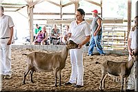 LCFAIR17-1670.jpg