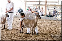 LCFAIR17-1678.jpg