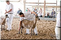 LCFAIR17-1679.jpg