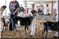 LCFAIR17-1699.jpg