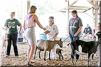 LCFAIR17-1707.jpg