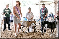 LCFAIR17-1708.jpg