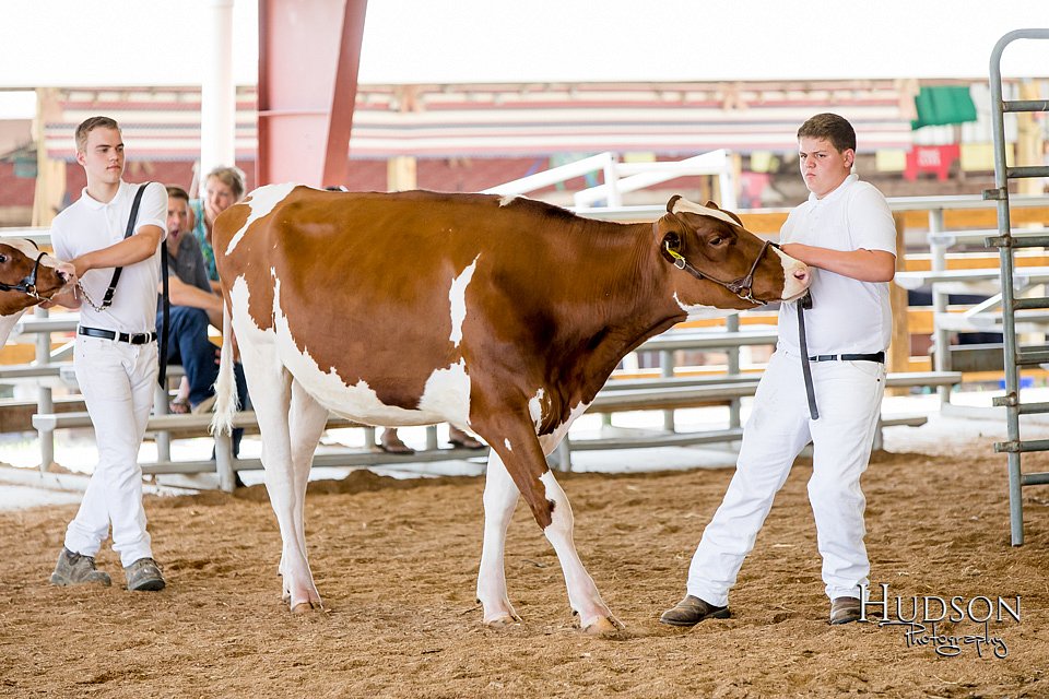 LCFAIR17-1345.jpg