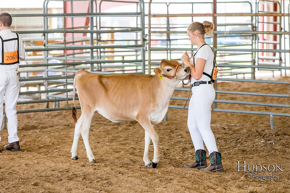 LCFAIR17-1452.jpg