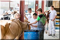 LCFAIR17-1340.jpg