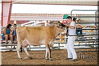 LCFAIR17-1343.jpg