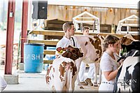 LCFAIR17-1374.jpg