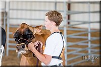 LCFAIR17-1375.jpg