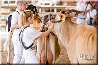 LCFAIR17-1379.jpg