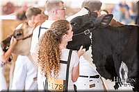 LCFAIR17-1399.jpg