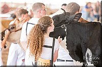 LCFAIR17-1400.jpg