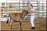 LCFAIR17-1415.jpg