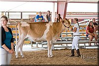 LCFAIR17-1424.jpg