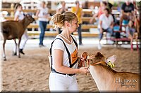 LCFAIR17-1428.jpg